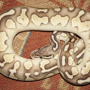 DSC00590 (Small).JPG