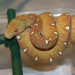 Mv7-01-2010 [1024x768].JPG