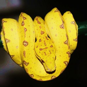 Mv4-2010 [1024x768].JPG