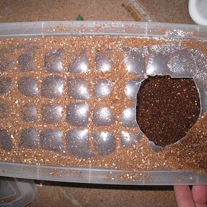 Copia de IMG_3092.JPG