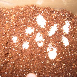 Copia de IMG_3094.JPG