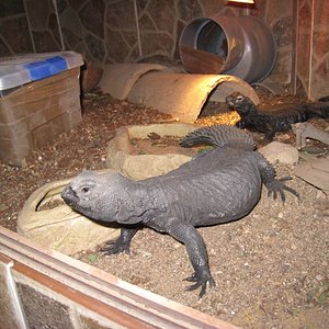 Copia de IMG_3089.JPG