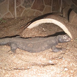 Copia de IMG_3096.JPG