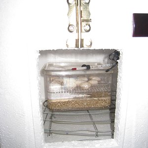 Copia de IMG_3109.JPG