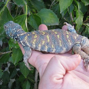 Copia de IMG_3119.JPG