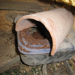 Copia de IMG_3134.JPG