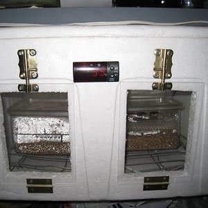 Copia de IMG_3167.JPG