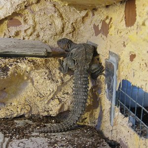 Copia de IMG_3154.JPG