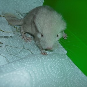 CIMG3829 [640x480].JPG