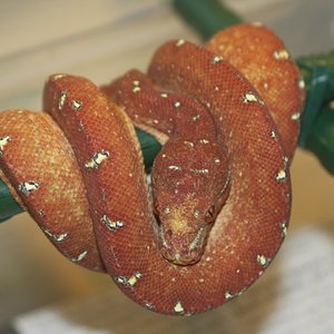 mv3-01-2010 [1024x768].JPG