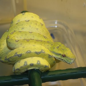 mv4-01-2010 [1024x768].JPG