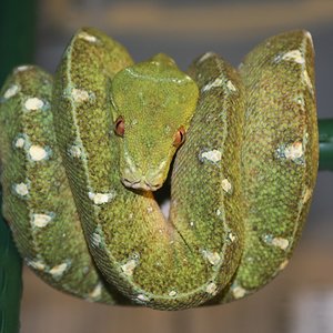 mv7-01-2010 [1024x768].JPG