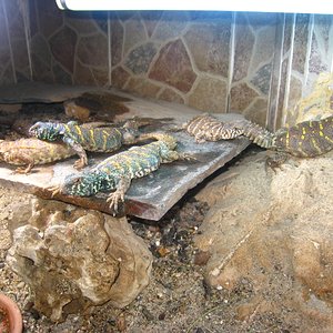 Copia de IMG_3257.JPG