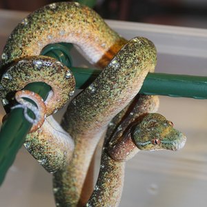 mv5-01-2010 [1600x1200].JPG