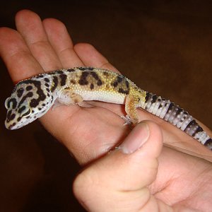 DSC02283 [1600x1200].JPG