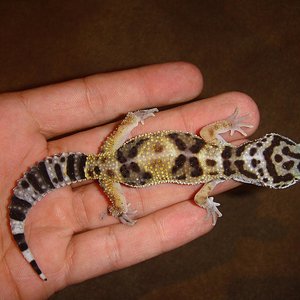 DSC02284 [1600x1200].JPG