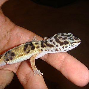 DSC02287 [1600x1200].JPG