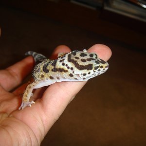 DSC02296 [1600x1200].JPG