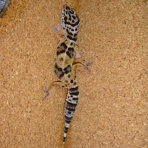 DSC02298 [1600x1200].JPG