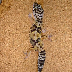 DSC02299 [1600x1200].JPG