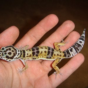 DSC02295 [1600x1200].JPG