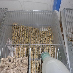 P1010052 [640x480].JPG