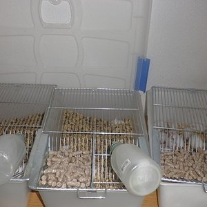 P1010053 [640x480].JPG