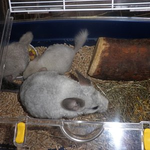 P1010060 [640x480].JPG