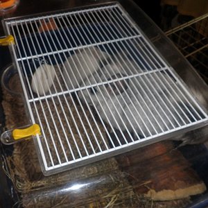 P1010066 [640x480].JPG