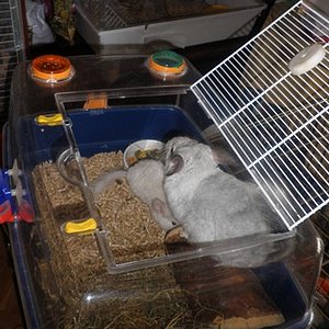 P1010068 [640x480].JPG