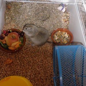 P1010002 [640x480].JPG