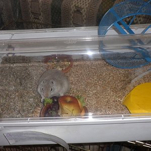 P1010006 [640x480].JPG