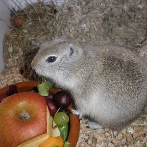 P1010004 [640x480].JPG