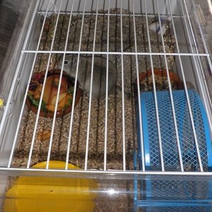 P1010008 [640x480].JPG