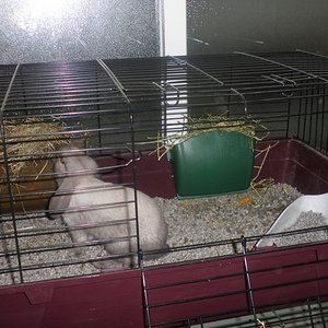 P1010001 [640x480].JPG