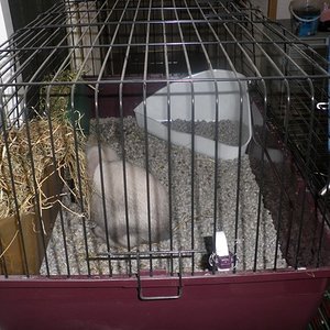 P1010004 (2) [640x480].JPG