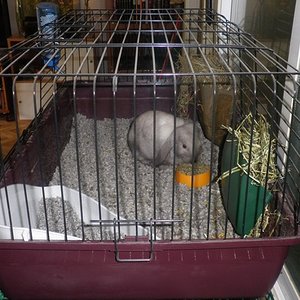 P1010005 (2) [640x480].JPG