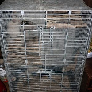 P1010017 (2) [640x480].JPG