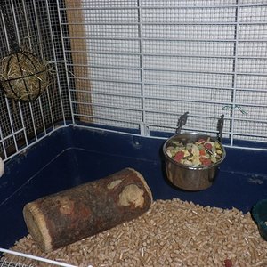 P1010019 (2) [640x480].JPG