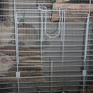 P1010021 (2) [640x480].JPG