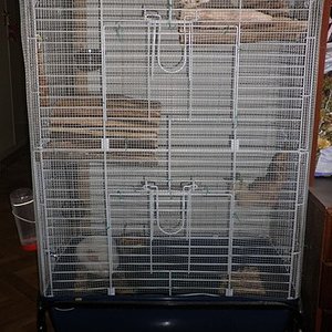 P1010051 (2) [640x480].JPG