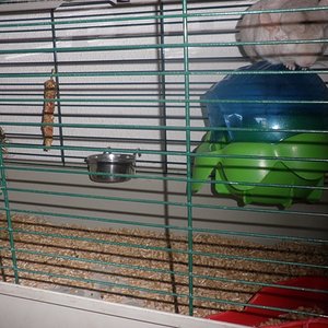 P1010002 [640x480].JPG