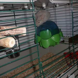 P1010005 [640x480].JPG