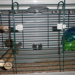 P1010014 (2) [640x480].JPG