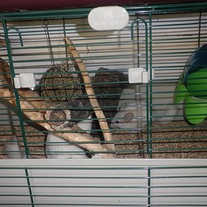 P1010001 [640x480].JPG