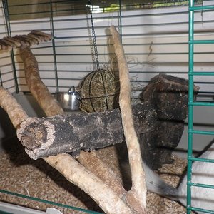 P1010002 [640x480].JPG