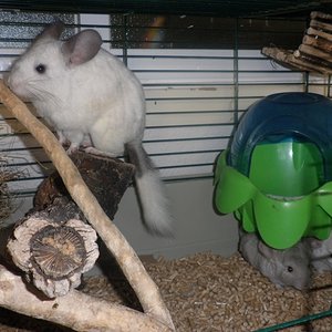 P1010003 [640x480].JPG