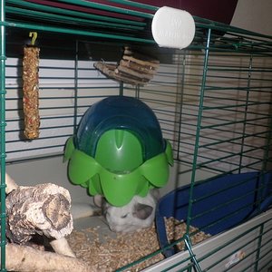 P1010008 [640x480].JPG