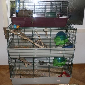 P1010043 (2) [640x480].JPG