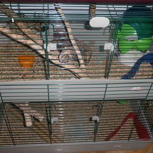 P1010046 (2) [640x480].JPG